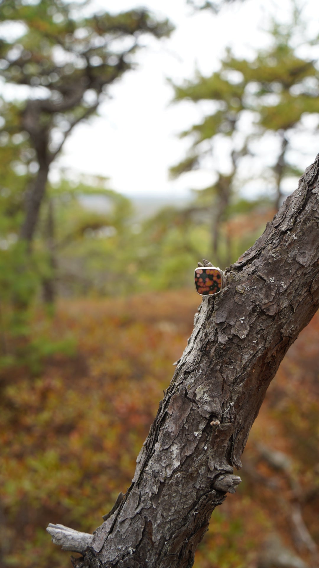 Ocean Jasper Ring, size 7.5