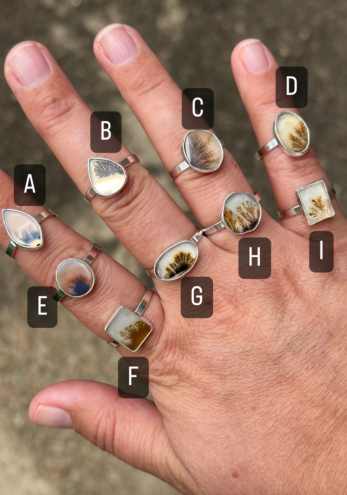 Dendritic Agate Rings, multiple sizes