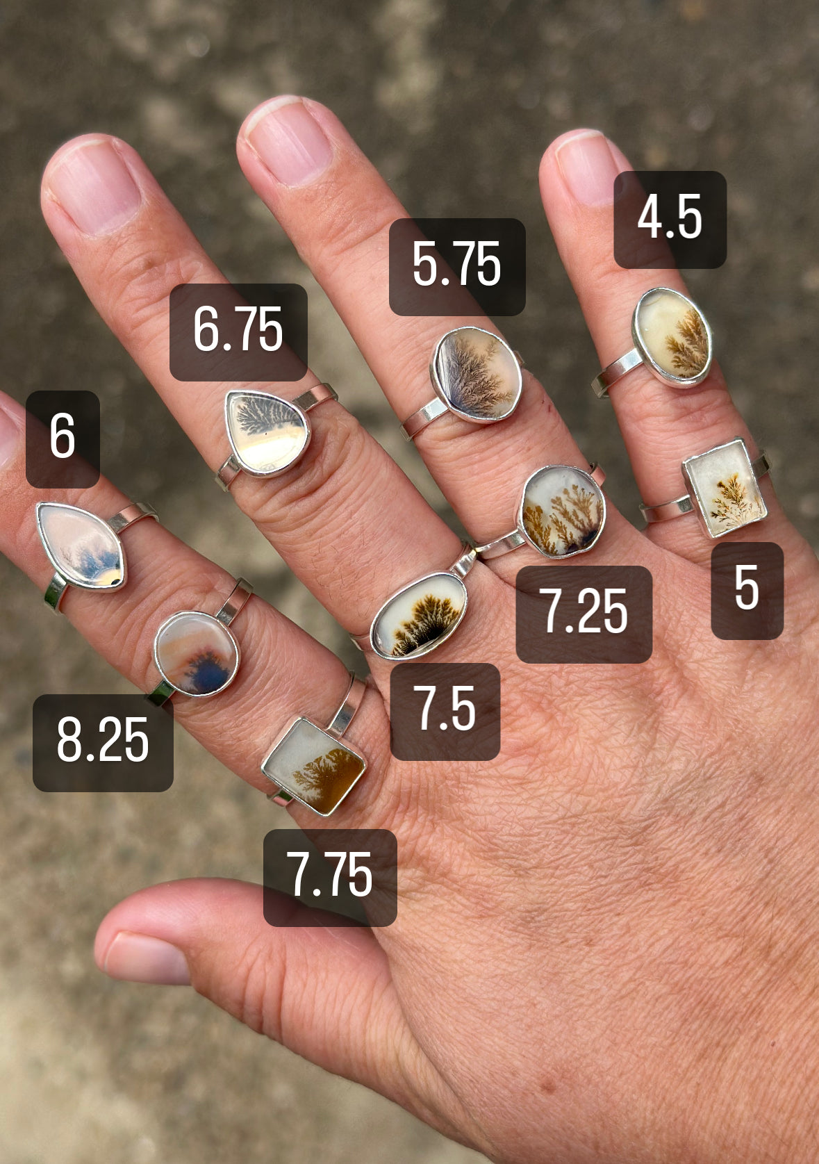 Dendritic Agate Rings, multiple sizes